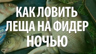 КАК ЛОВИТЬ ЛЕЩА НА ФИДЕР НОЧЬЮ