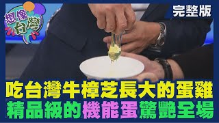 【想像台灣】產銷結構寧靜革命─ 何文堯 X 信威生物科技執行長－丁淑惠 X 青泉谷小農業主－游璩駿 X 金錦町行銷總監－陳克剛
