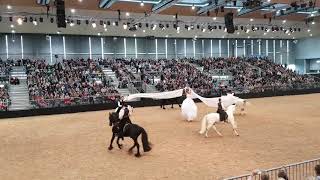 Andrea Schmitz & Team auf der Pferd & Jagd 2018