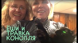 ?НОВЫЙ ДОМ, ТРАВКА КОНОПЛЯ, ЁШИ И ЗАМОРСКИЕ  ВКУСНЯТИНЫ. Inna Gonka, E527