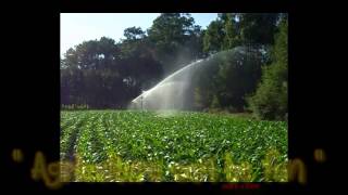 Corn irrigation with Kama ! happy farm holidays memories ;)