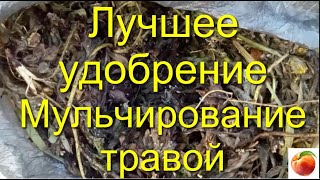Удобрение Знай Правильное мульчирование травой Повышение Урожая Здоровья растений fertilizer Mulchin
