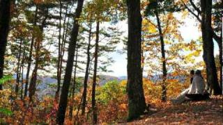 Nakasendo tour highlights.dv