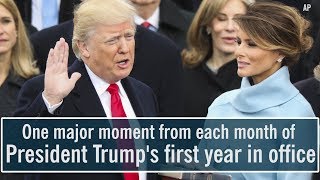 President Donald Trump's first year in office