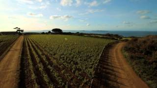 Visit to Sark, by the Bald Hiker