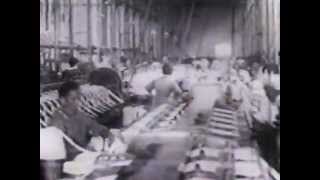 A Revolução de 1932 - Reportagem Especial