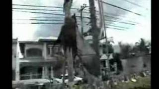 Liakopoulos-Manananggal(Μπαχομέχ,βρυκόλακας)