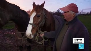 Profesión: criador de caballos de carreras en Normandía