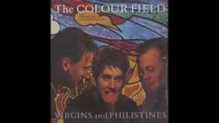 The colourfield-The Windmills of Your Mind