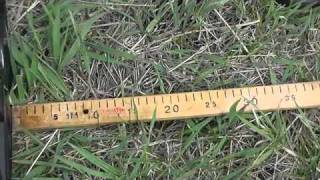 NEL Tornado воздушный тест Minelab X-Terra 705