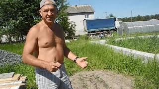 Садим огурцы прямо в диком поле.2