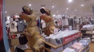 A DAY IN THE LIFE OF T-REX