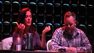 Sailor Moon Voice Actors Panel from Anime Boston 2014
