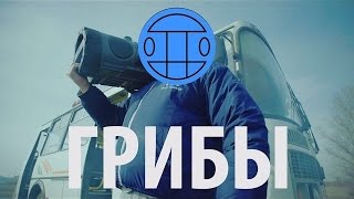 РЕАКЦИЯ НА КЛИП # МС ХОВАНСКИЙ & СОБОЛЕВ - ПИВО ПЬЕТ ["Тает Лед" гр. Грибы]