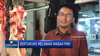 Bertarung Melawan Wabah PMK