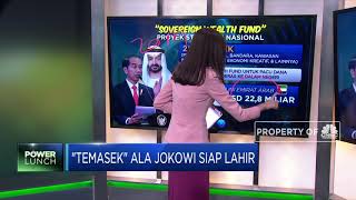 Temasek Ala Jokowi Siap Lahir