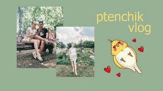 ptenchik vlog | совместные чтения, открытки и обман почты