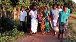 காவடி
