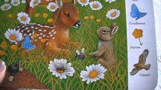 Детские книги и пазлы с сайта Лабиринт
