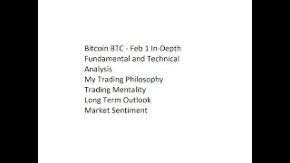 Bitcoin BTC - Feb 1 In-Depth Fundamental and Technical Analysis