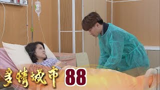 多情城市 Golden City EP088 給我一個機會 可以陪妳走到最後