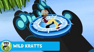 WILD KRATTS | Rocket Disc! | PBS KIDS