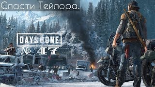 Days Gone  ☣ ( Жизнь После ) ☣ Прохождение № 47  ⋖  Спасти Тейлора ⋗