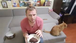 СУМАСШЕДШИЙ ПРИШЕЛ