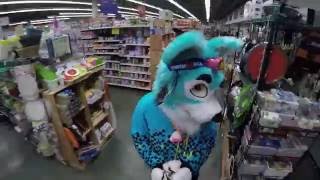 Furries go shopping at Uwajimaya + Furries at Uwajicon