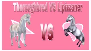Lippizaner VS Thoroughbred speedtest! Star stable Online