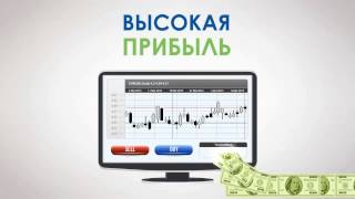 Index TOP 20 - Инвестирование без риска с компанией MMCIS