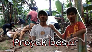 Film Komedi - Proyek Besar "PENGACARA" Eps Terakhir