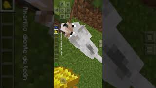 Juego en Minecraft hector