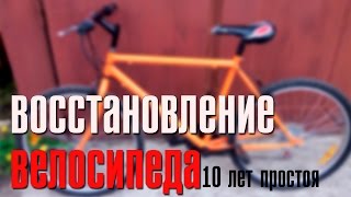 ИЗ ГРЯЗИ В КНЯЗИ ПОСЛЕ 10 ЛЕТ ПРОСТОЯ! | ВОССТАНОВЛЕНИЕ ВЕЛОСИПЕДА