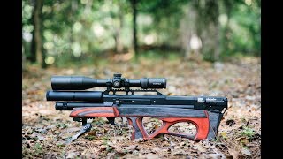 EDgun R5M Slow Motion