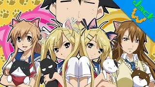 Nyan Koi - Jackw Reviews