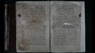 Digitale Collecties