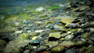 Черное Море,Хоста 2010/Black Sea,Khosta 2010