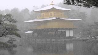 HOA TUYẾT RƠI TUYỆT ĐẸP NGÀY ĐẦU NĂM TẠI CHÙA KINKAKUJI!