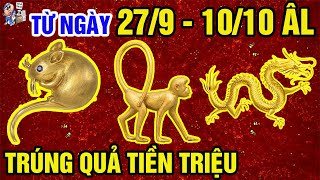 ĐANG NỢ NGẬP ĐẦU 3 Tuổi Này Trúng Quả Tiền Triệu Phát Tài Giàu To Xóa Sạch Nợ Nần | TỬ VI TÀI LỘC