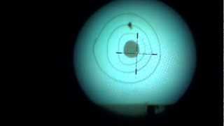 DEDAL 450-C пок.2+ vs Pulsar Digisight N750.mp4 TEST