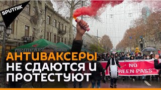 Нет "зеленым паспортам": в Тбилиси прошла новая акция протеста