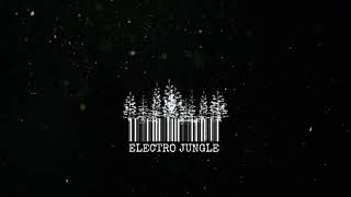 Boris Brejcha - Pegasus ( Free download )
