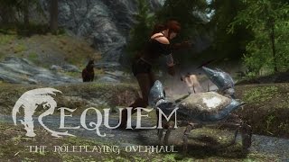 Skyrim Requiem - Punchin' Stuff