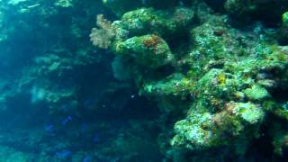 okinawa kerama diving