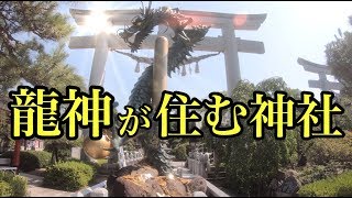 【田村神社】龍神の住む神社 金運 開運 財運のパワースポット パワースポットひとり旅#19 香川県  4K