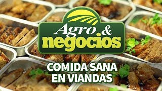 Comida sana en viandas