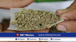 Está regulado el uso de la marihuana como medicina.
