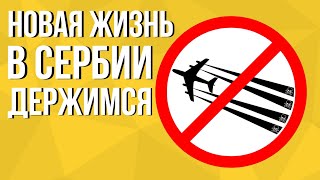 Новости Сербии: сегодня. Сербия для россиян. 2020 Сербия. Жизнь русских в Сербии.