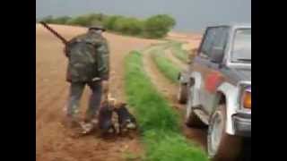 jagdterrier de los jurau